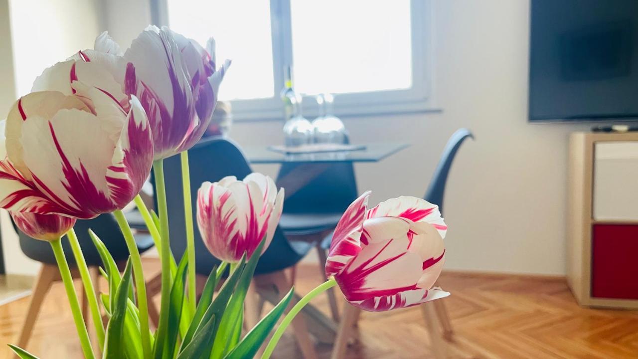 Apartment Iva 리예카 외부 사진
